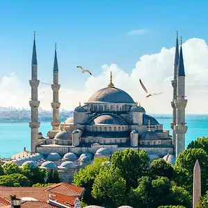 Old Sultanahmed Miran 3* اسطنبول